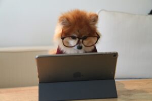 「前のやり方がいい」を乗り越える——ITが苦手な従業員と進めるデジタル化