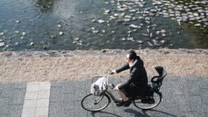家から徒歩10分の仕事場——職住近接という働き方と「近すぎない距離」の価値